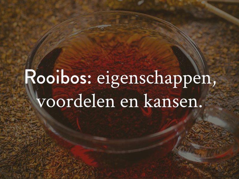 Rooibos: de eigenschappen, voordelen en kansen van deze unieke Zuid-Afrikaanse infusie.